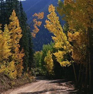 Colorado Gallery: Autumn, Colorado, Day, Nature, Nobody, Path, Peacefulness, Quiet, Season, Seasonal