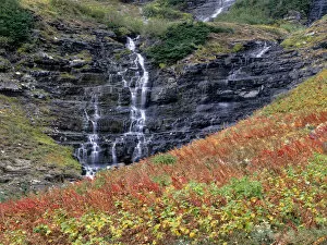 Images Dated 4th February 2016: Autumn colored wildflowers and small waterfall, Garden Wall, Glacier National Park, Montana, USA