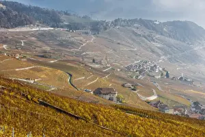 Vaud Canton Prints: Autumn colors
