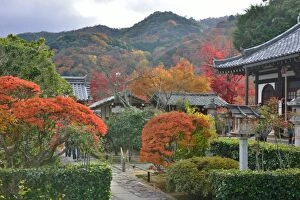 Images Dated 30th November 2012: Autumn Colors in Kyoto, Japan