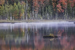 Images Dated 12th October 2016: Autumn colors and mist reflecting on Council Lake at sunrise, Hiawatha National Forest, Michigan