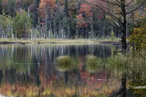 Images Dated 11th October 2016: Autumn colors and mist reflecting on Council Lake at sunrise, Hiawatha National Forest, Michigan
