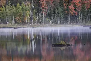 Autumn colors and mist reflecting on Council Lake at sunrise, Hiawatha National Forest, Michigan, USA