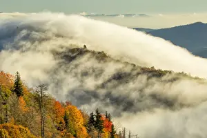 Autumn colors and mist at sunrise, Blue Ridge Mountains from Blue Ridge Parkway, North Carolina, USA