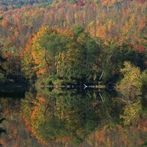 David Henderson Photography Gallery: Autumn, Day, Lake, Multicolored, Nature, New Hampshire, Nobody, Peacefulness, Quiet