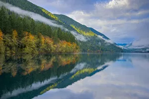 Images Dated 23rd October 2016: Autumn forest reflecting in Crescent Lake, Olympic National Park, Washington State, USA