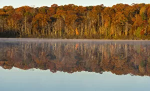 Images Dated 17th October 2015: Autumn forest reflecting in Mill Pond Lake, Wisconsin, USA