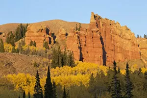 Images Dated 20th September 2016: Autumn landscape with aspens and Red Cliffs on sunny day, Wyoming Range, Sublette County, Wyoming