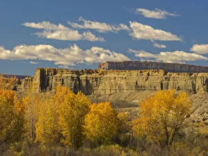 Images Dated 26th October 2017: Autumn landscape, Upper Blue Hills, Wayne County, Utah, USA