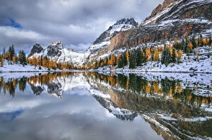 Images Dated 21st September 2016: Autumn Larches In Rocky Mountains, Lake O Hara, Yoho National Park, British Columbia, Canada