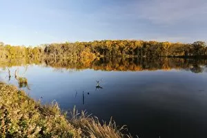 Autumn in Minnesota, USA