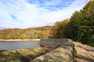 Images Dated 8th November 2014: Autumn at Montseny