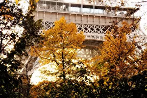 Images Dated 29th October 2009: Autumn in Paris