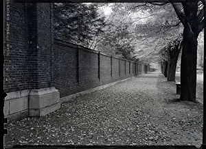 Autumn Scene By A Large Wall