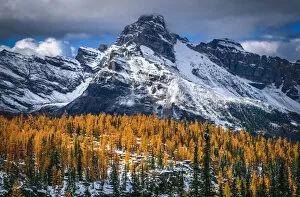 Images Dated 21st September 2016: Autumn Scenery In Rocky Mountains, Lake O Hara, Yoho National Park, British Columbia, Canada