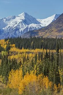 Images Dated 11th September 2015: Autumn scenic along the Alaska Highway, Kluane National Park, St