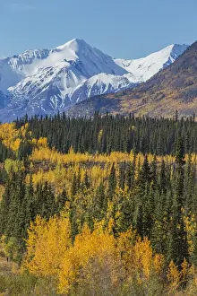 Yukon Prints: Autumn scenic along the Alaska Highway