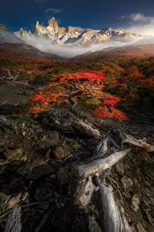 Images Dated 30th April 2018: Autumn view of Patagonia with Mount Fitzroy background