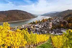 Hesse Gallery: Autumn vineyards and river Rhine, Bacharach, Germany