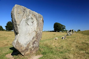 Wiltshire Gallery: Avebury Prehistoric Site, Wiltshire, England