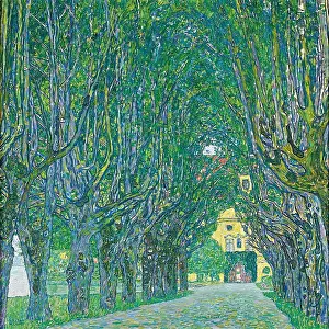 Fortification Prints: Avenue To Schloss Kammer