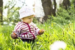 Images Dated 12th April 2014: Baby, 12-14 months, on a meadow