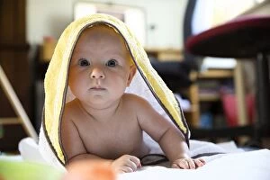 Images Dated 13th July 2013: Baby, 4-5 months old, under a towel, Germany