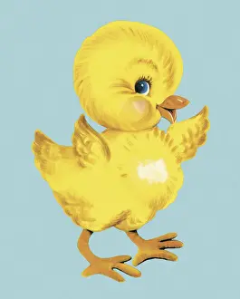Fluffy Prints: Baby Chick