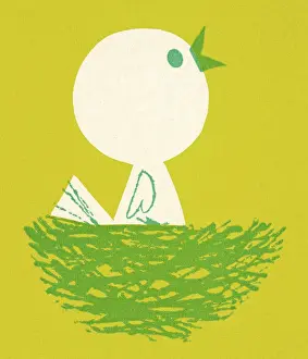 Baby Chick in Nest