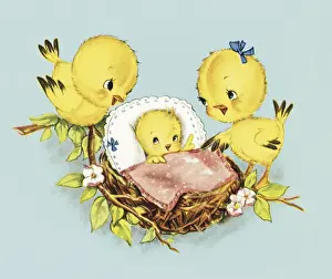 Illustration And Pa Prints: Baby chicks