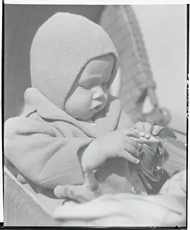 Infancy Prints: Baby Concentrating on His Toy