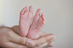 Delicate Gallery: Baby feet held in the hands of an adult