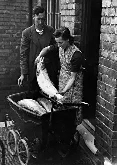 Pram Prints: Baby Salmon