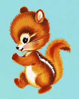 Baby Squirrel