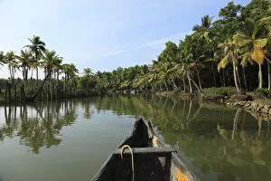 Images Dated 28th January 2010: Backwater tour on a tributary of the Poovar River, Puvar, Kerala, South India, India, Asia