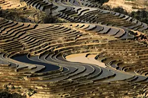 Bada Terrace pattern