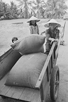 Peasant Prints: Bags of Rice on Carts