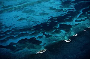 Refreshing Prints: Bahamas, Great Bahamas Bank, aerial view
