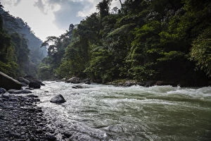 Images Dated 21st September 2015: Bahorok River in Gunung Leuser National Park