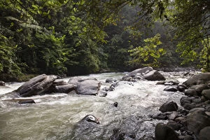 Images Dated 22nd September 2015: Bahorok River running through Gunung Leuser National Park