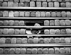 Bakery Worker Placing Bread On Racks