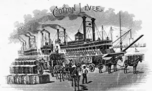 Cotton Prints: Bales Of Cotton Being Loaded On Steamer