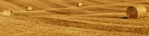 Images Dated 23rd June 2011: Bales of straw on a harvested field, Tuscany, Italy, Europe