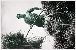 New England Prints: Baling Hay On New England Farm