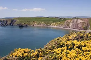Ballydowane Cove, Copper Coast, Co Waterford, Ireland