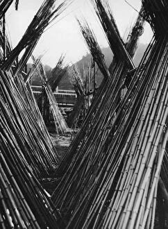 Images Dated 31st July 2006: Bamboo Stacks