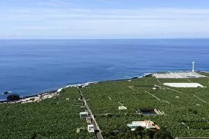 Banana plantation near La bombilla, La Palma, Canary Islands, Spain, Europe, PublicGround