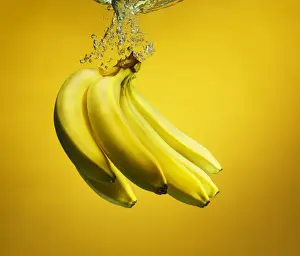 Prints of Bananas splashed into water, creating bubbles, on yellow backdrop Stone Prints: bananas splashed into water
