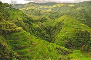 Images Dated 1st July 2011: Banaue rice hills