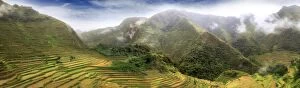 Images Dated 18th July 2015: Banaue Rice Terraces
